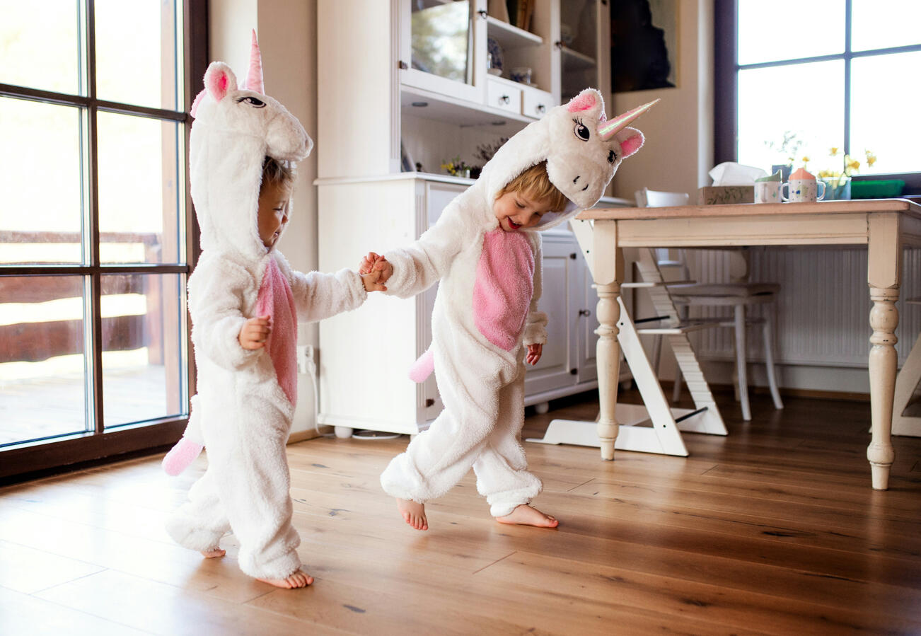 Unicorn